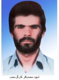 محمدباقر کارگر محبی